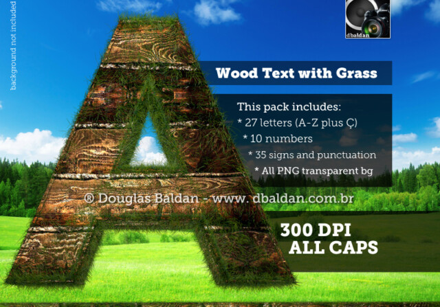 Wood Text with Grass – Stock image